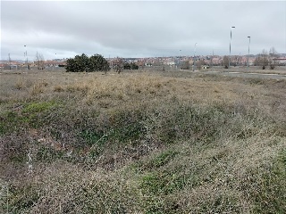 PP 13 BARTOLO 5