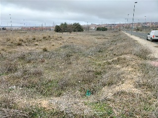 PP 13 BARTOLO 6