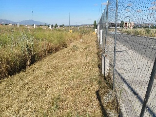 PP 13 BARTOLO 7