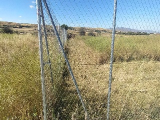 PP 13 BARTOLO 8