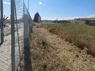 PP 13 BARTOLO 9