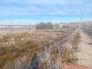 PP 13 BARTOLO 12