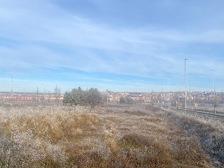 PP 13 BARTOLO 13