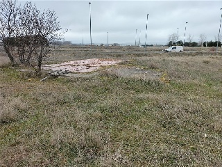 PP 13 BARTOLO 17