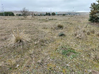 PP 13 BARTOLO 19