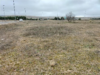 PP 13 BARTOLO 21