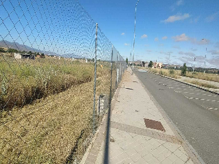 PP 13 BARTOLO 23