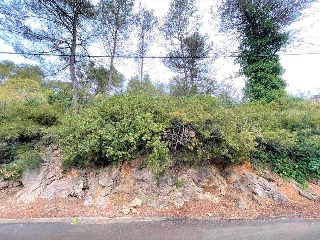 Olesa De Bonesvalls 3