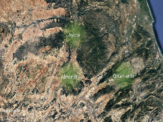 Ayora 7-9-9D 13