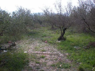 Suelo urbanizable en Paraje Beniasent  29