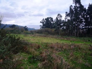 Solar en Narón 16