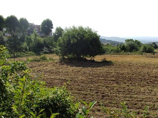 Suelo en Berga 26