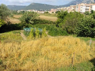 Suelo en Berga 31