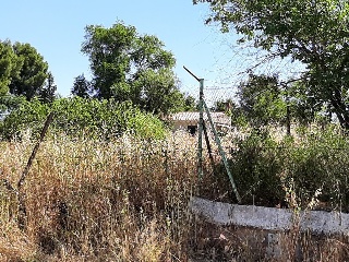 Camino de Cabañas 12