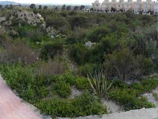 Suelos en San Fulgencio - Alicante - 15