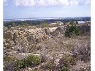 Suelo rústico en San Miguel de Salinas (Alicante) 35