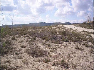 Suelo rústico en San Miguel de Salinas (Alicante) 36