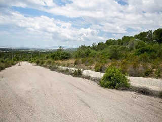 Suelo no urbanizable en C/ Puntiro - Palma de Mallorca - 43