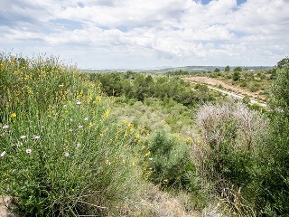 Suelo no urbanizable en C/ Puntiro - Palma de Mallorca - 47