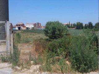 Suelo en Bell-lloc d´Urget 17
