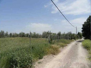 Suelo Urbano no consolidado en C/ Acacias  17