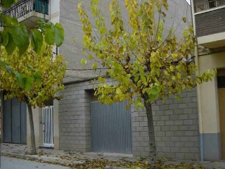 Suelo en Tárrega 13