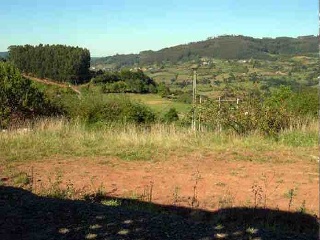 Suelos rústicos en C/ Huerta del Canto 15