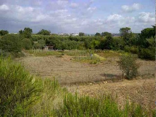 Suelo en L´Horta Gran 12