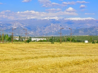 Suelos en Escúzar 42