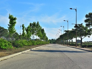Suelos en Escúzar 50