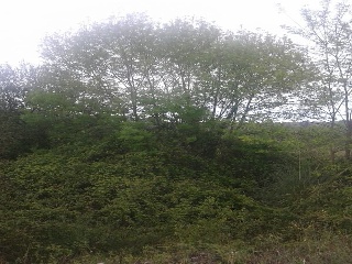 Suelo urbano en Paraje Plan Sc La Manjoya-Santiago 11