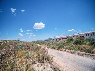 Suelos en El Palmar 21