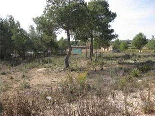 Suelos en C/ Asturias  - Godelleta - Valencia 14