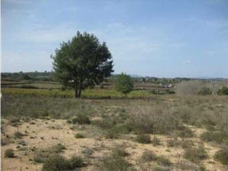 Suelos en C/ Asturias  - Godelleta - Valencia 15