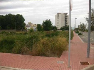 Suelo en Piles - Valencia - 10