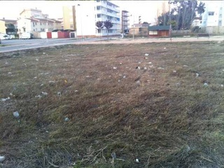Suelo en Piles - Valencia - 12