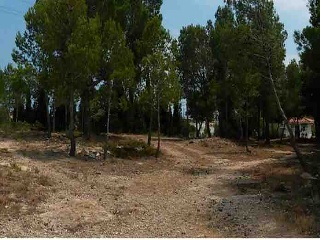 Suelos en C/ Sant Roc 24