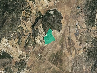 Suelo en Monóvar 27