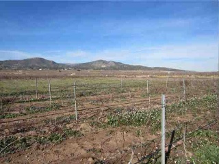 Suelo en Monóvar 36