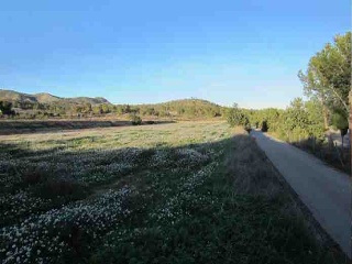 Suelo en Monóvar 39