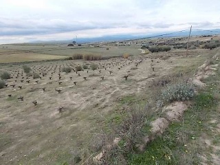 Suelo en Pt Paraje La Perdiguera 18