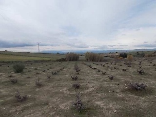 Suelo en Pt Paraje La Perdiguera 20