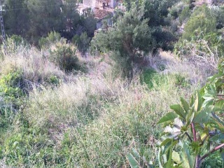 Suelo en Ur Monte Mostalla 21