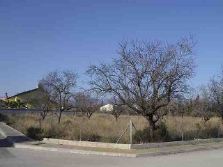 Suelo Urbano en C/ Assagardor 19