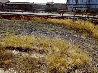 Suelo urbanizable en La Joyosa - Zaragoza - 12