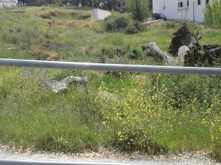 Suelo en Cortegana 15