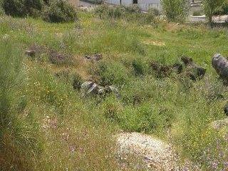 Suelo en Cortegana 16
