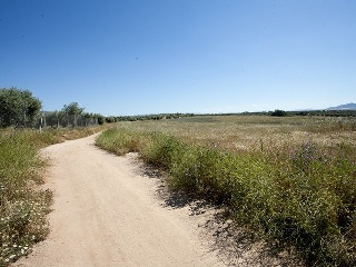Suelo en Argés 11