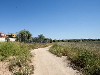 Suelo en Argés 12