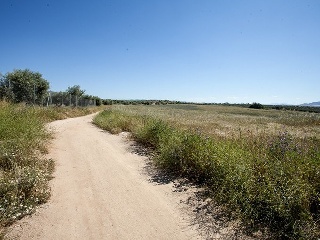 Suelo en Argés 13